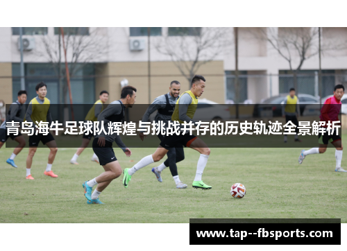青岛海牛足球队辉煌与挑战并存的历史轨迹全景解析